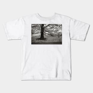 the stately tree, has released its leaves Kids T-Shirt